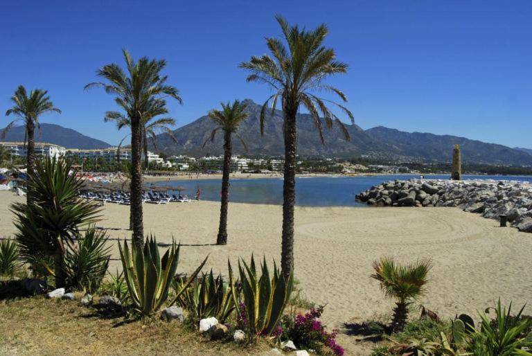 Renovado 1 Dormitorio,centro Marbella. Marbelsun Apartament Marbella